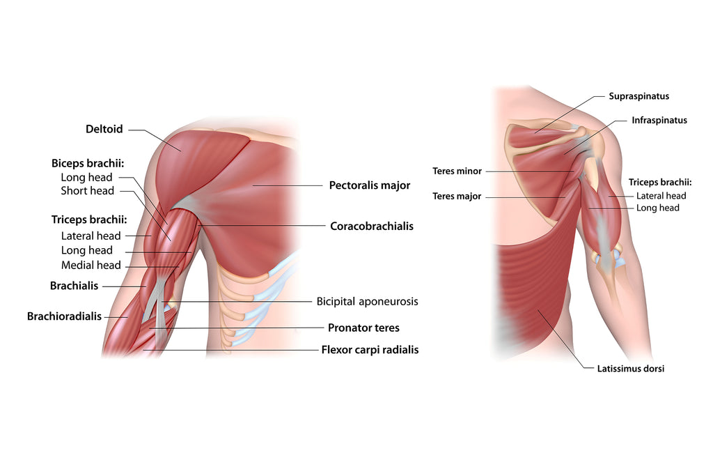10 Shoulder Pain Exercises (Plus How & What You Need To Do Them Right) From A Certified Fitness Trainer