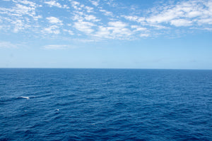 My Girl Scout Troop Went on a Caribbean Cruise... and on the Last Day, We Made ALL the Memories!!!