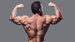 The 16 Best Back Exercises for Strength and Muscle Gain