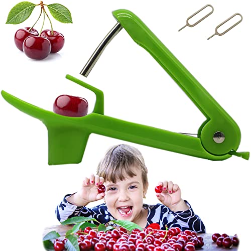 25 Best Cherry Pitter Tools