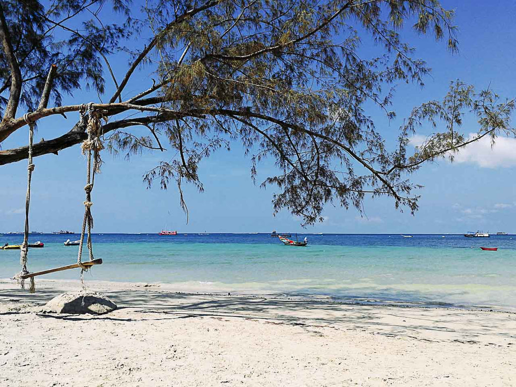 10 Things to do in Koh Tao: diving, beaches and more