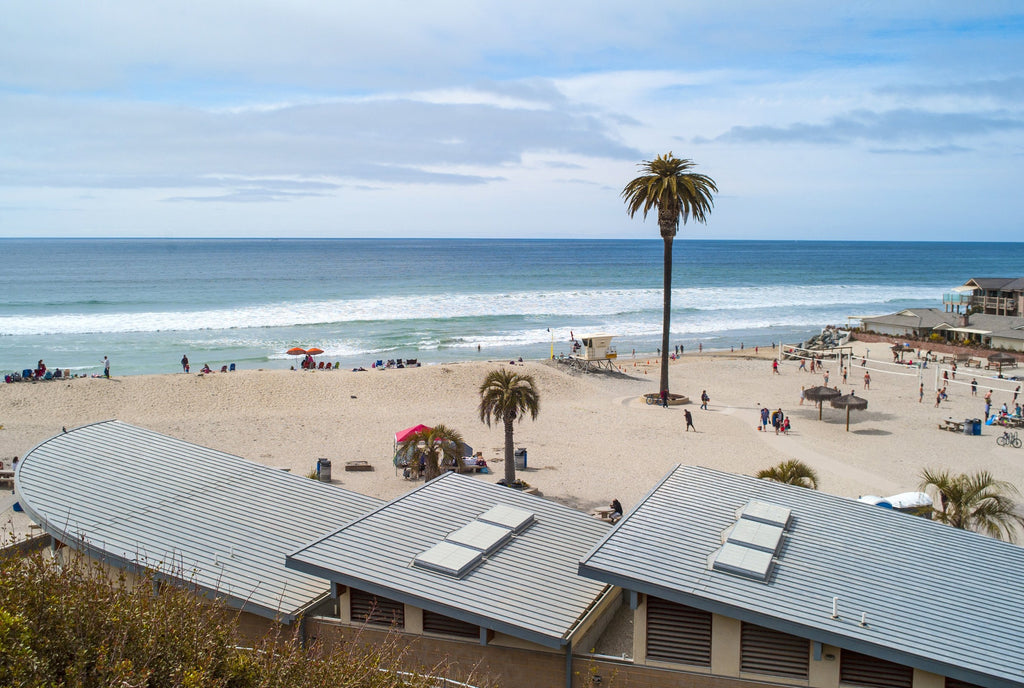 6 Best Beaches in Encinitas, California: Where to Go & What to Expect