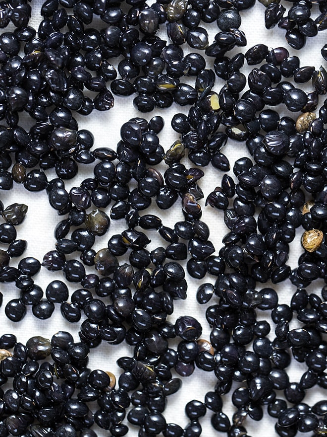 Are Your Dried Beans, Grains, and Nuts Living Up to Their Full Potential?